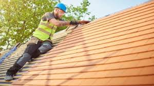 Best Roof Inspection  in Abbotsford, WI