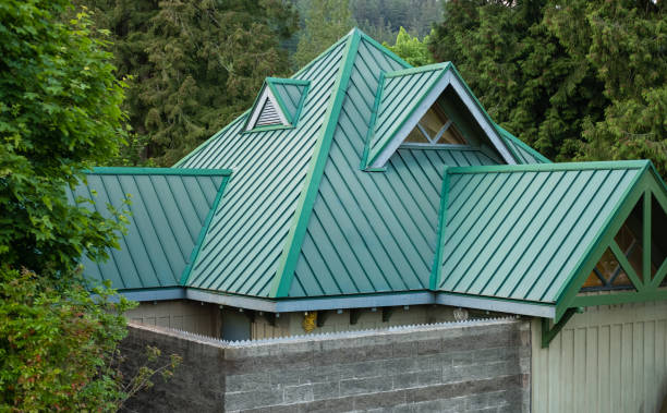 Best Gutter Installation and Repair  in Abbotsford, WI