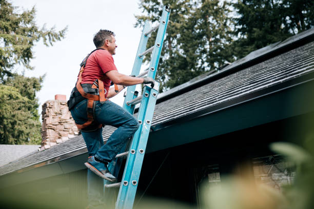Best Roof Installation  in Abbotsford, WI